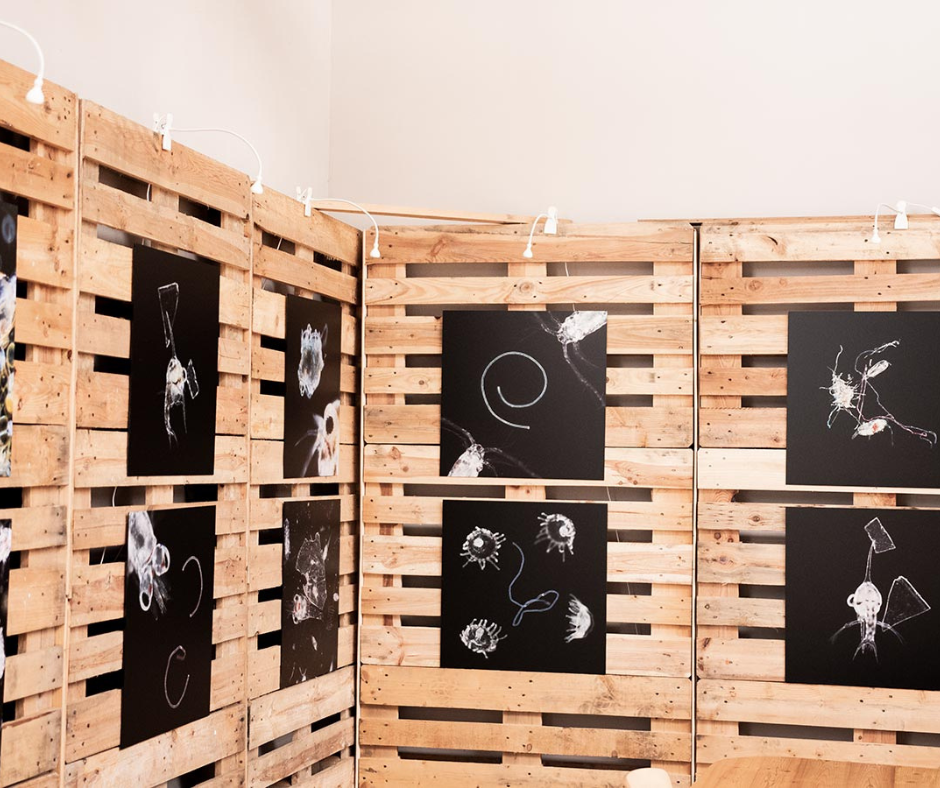 Exposition L'Invisible devient Visible Surfrider